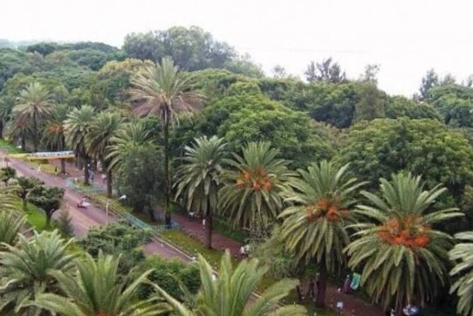 Private Guided Tours To Bahir Dar Lake Tana Monastery & Blue Nile Waterfalls - Comfortable and Convenient Transportation