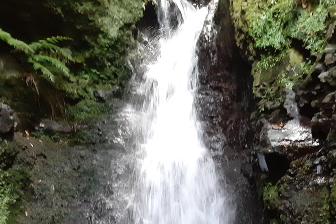 Private Guided Walk Levada Faja Dos Rodrigues Half-Day - Optional Lunch Details