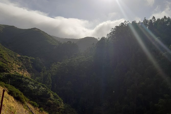 Private Guided Walk Levada Ponta Do Pargo - Clothing and Accessibility