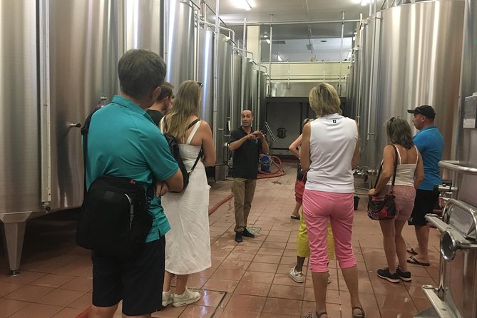 Private Half-Day Languedoc Wine Tour Review - Booking Details