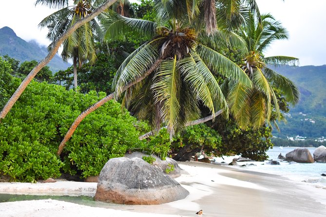 Private Half Day Mahe Island Tour (1-5 Persons) - Included Amenities
