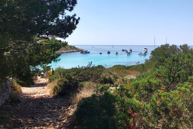 Private Half Day Speedboat Tour to Kornati National Park - Pricing Information