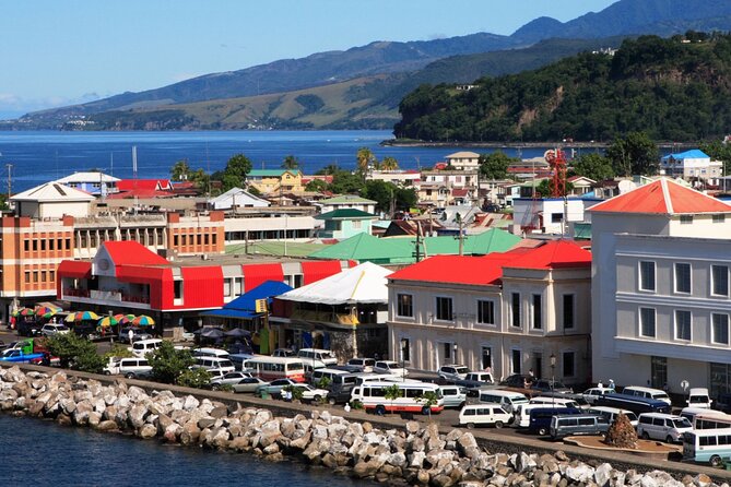 Private Half Day Tour of Roseaus Natural Beauty - Reviews and Ratings