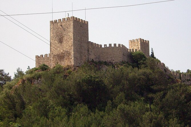 Private Half-Day Tour of Sesimbra and Arrábida - Customer Reviews