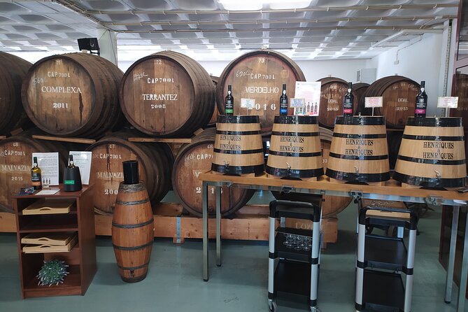 Private Half-Day Tour of Wine Fields in Portugal  - Cancellation Policy