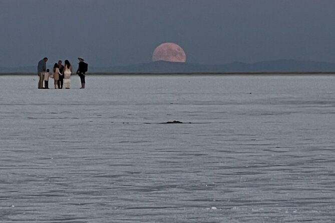 Private Half-Day Tour to Bonneville Salt Flats - Tips for a Memorable Visit