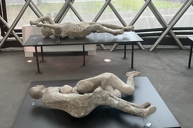 Private Half Day Tour to the Ruins of Pompeii - Payment Options
