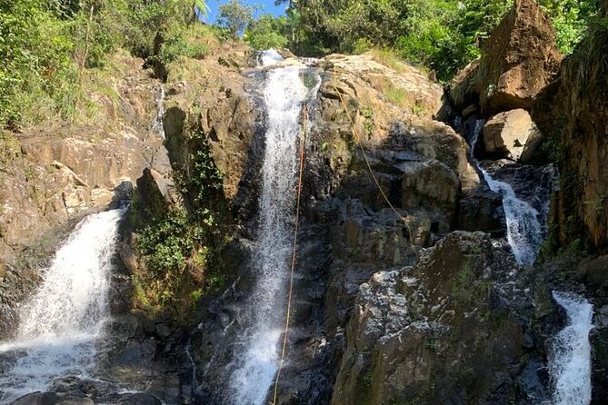 Private Hike in the Rainforest to Waterslides - Exploring the Rainforest Trail