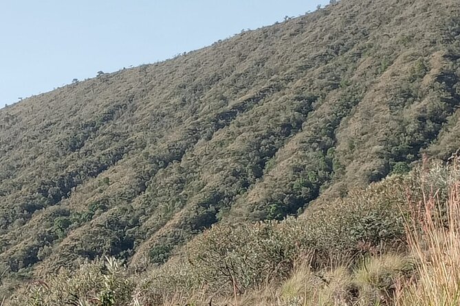 Private Hiking Day Tour to Mount Longonot National Park - Frequently Asked Questions
