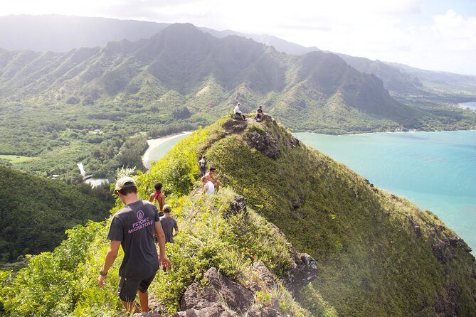 Private Hiking Tour Oahu - Adventure Guides Hawaii - Customer Experiences and Reviews