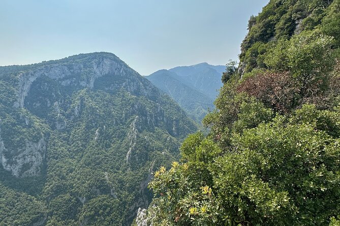 Private Hiking Tour to Olympus Mountain - Customer Reviews and Feedback