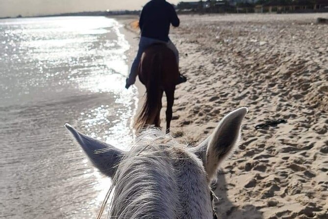 Private Horseback Ride at Sunset in Hammamet - Recommendations for Participants