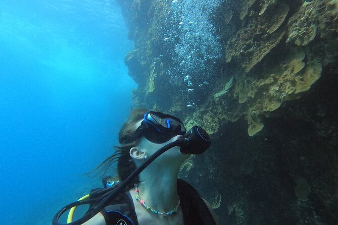 Private Intro SCUBA Adventure - Exploring the Marine Life