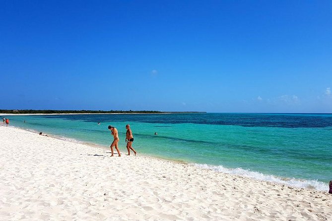 Private Jeep Excursion in Cozumel With Lunch and Snorkeling - Exploring the Jungle and Beaches