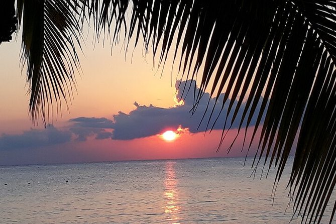 Private Jeep Tour in Cozumel - General Recommendations and Tips