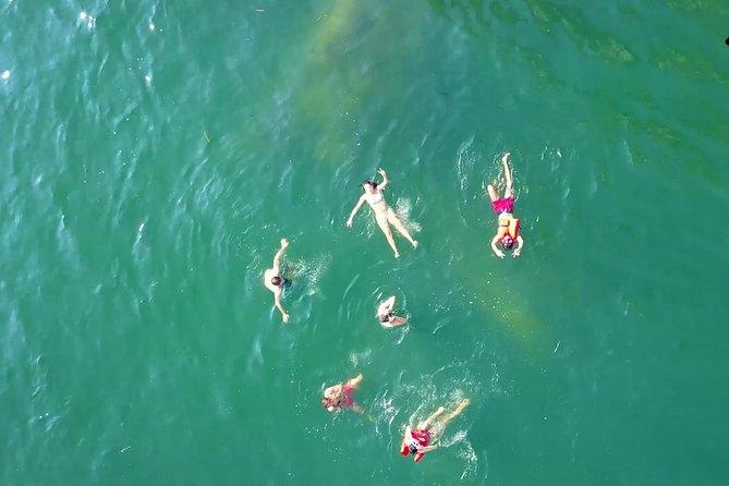 Private Los Arcos Snorkel and Beach Tour From Puerto Vallarta - Guides and Customer Experiences