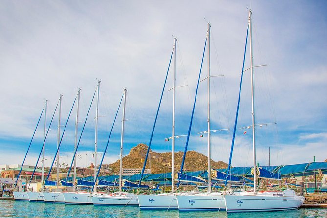Private Luxury Sailing Cruise in Los Cabos With Lunch and Open Bar - Positive Traveler Feedback