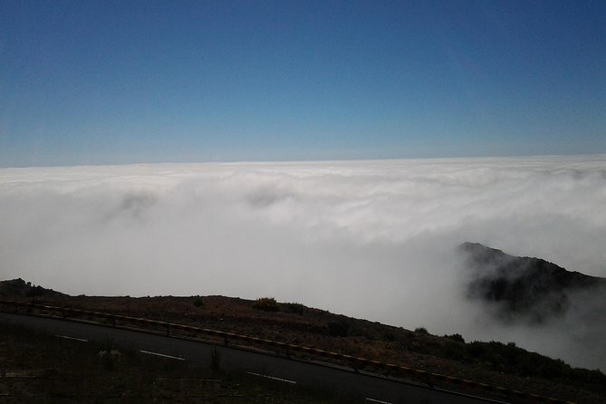 Private Madeira Tour up to 4 People - Customer Reviews