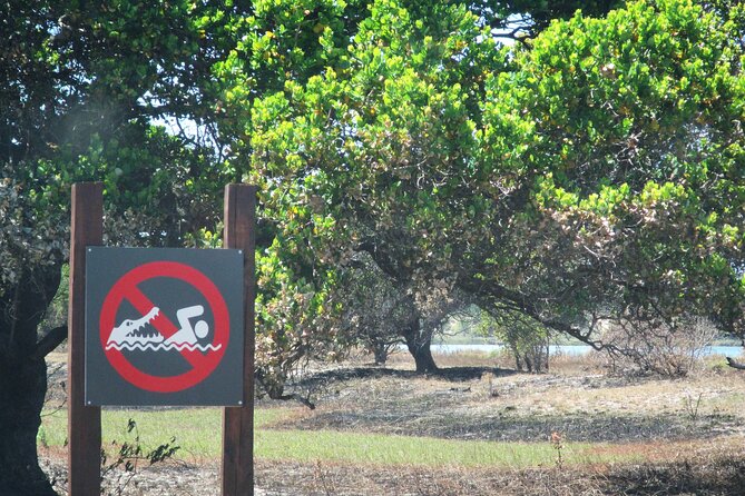 Private Maputo National Park Safari Day Tour With Pickup - Customer Reviews and Experiences