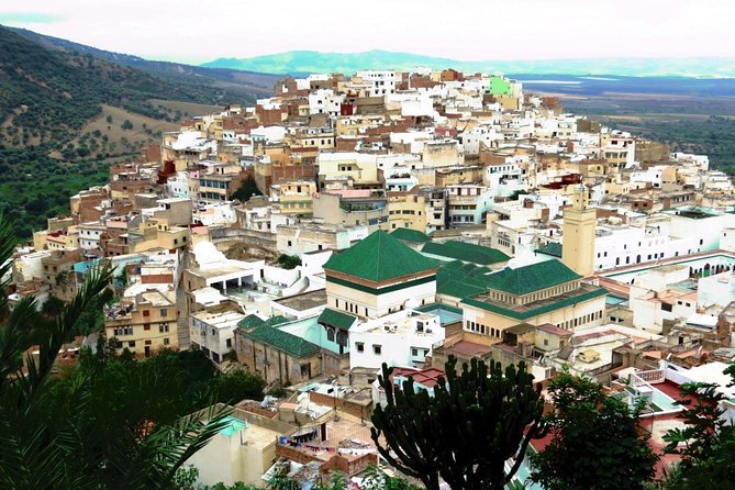 Private Meknes Volubilis -Mouly Idriss Day Trip From Fez - Convenient Transportation and Pickup