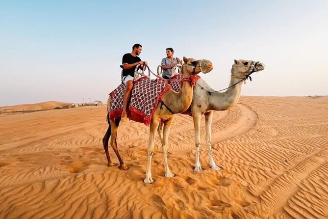 Private Morning Desert Safari Dune Bashing and Short Camel Ride - Refreshments Provided