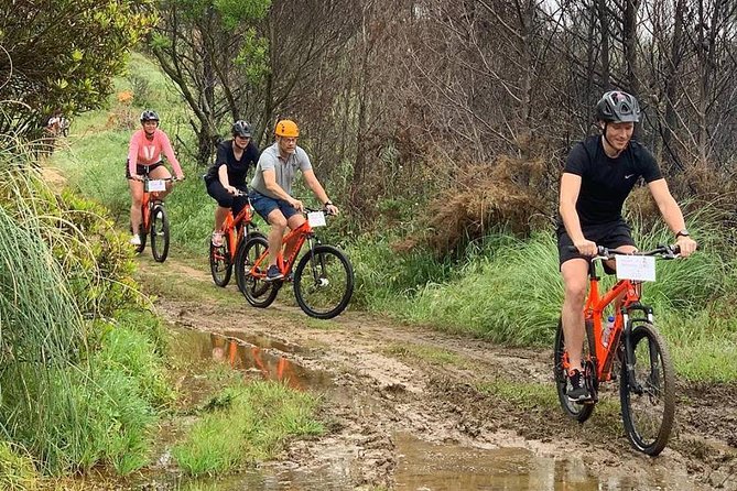 Private Mountain Biking Adventure in Sintra Cascais Park - Combining Biking With Cascais Walk