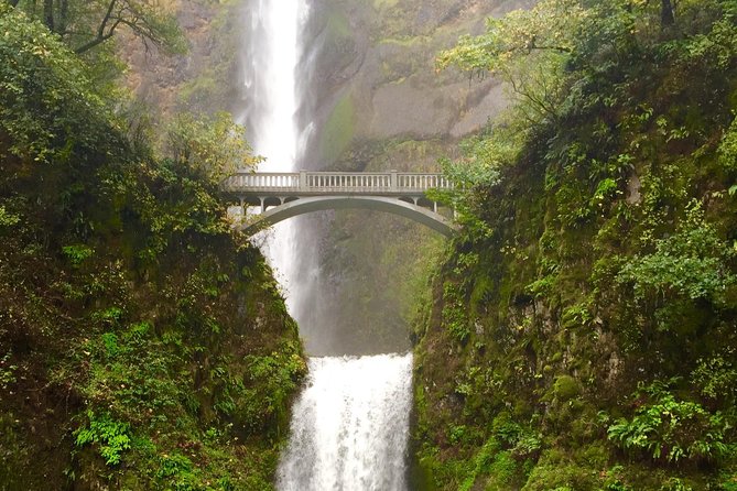 Private - Mt Hood & Columbia River Gorge Waterfalls Tour From Portland - Guest Reviews