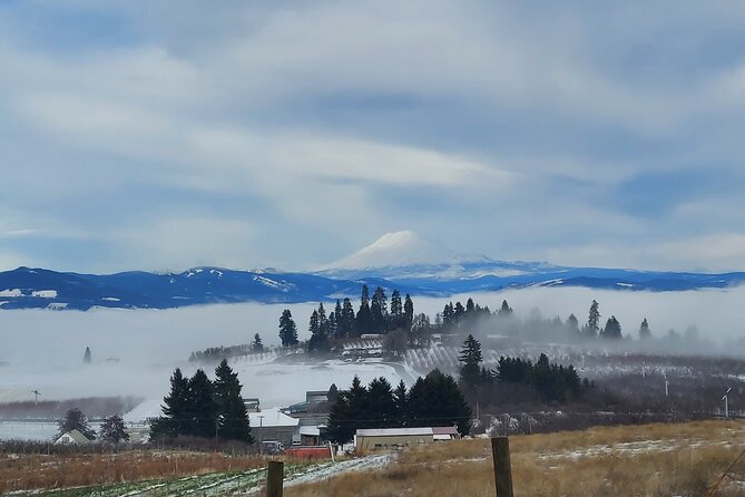 Private Mt Hood Waterfall Tour With Lunch and Wine Included - Reviews