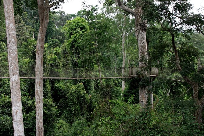 Private Multi-Day Ghana Tour About Culture History and Wildlife - 7 Days - Wildlife Encounters