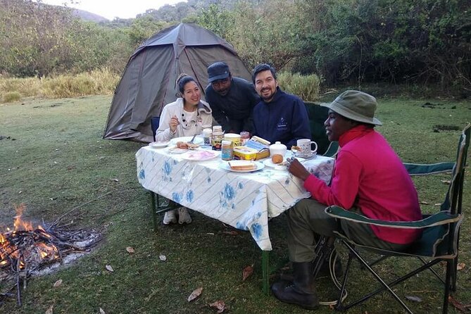Private Multi Day Safari Tour in Tanzania - Customer Reviews and Testimonials