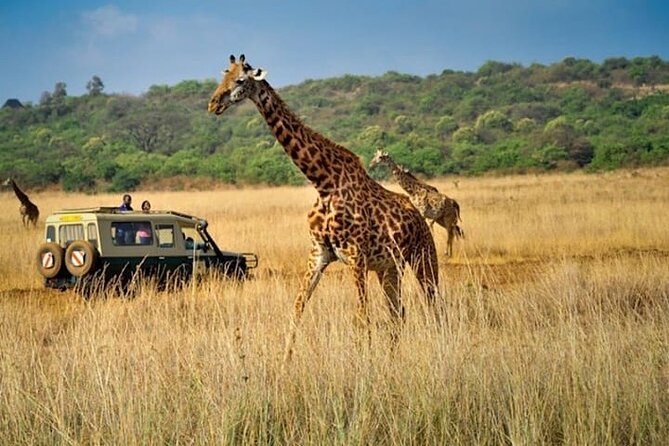 Private Multi-Day Tour in Tanzania Safari - Frequently Asked Questions