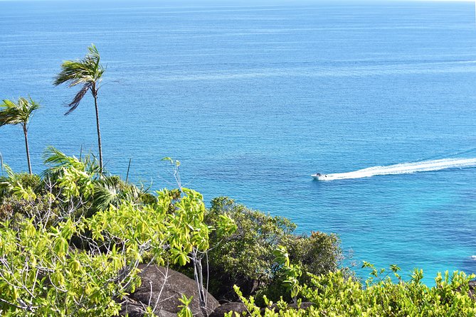 Private Nature Trail (Hiking) (1-2 Persons) - Traveler Testimonials