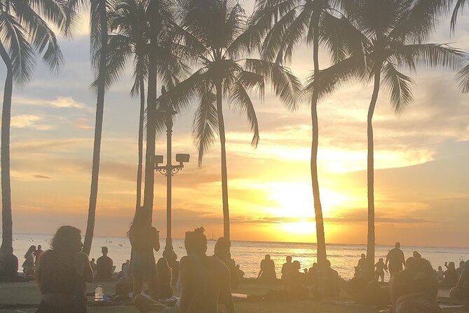 Private North Shore Tour From Waikiki - Highlights of the Tour