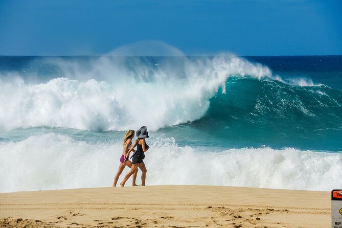 Private Oahu World-Famous North Shore Tour From Honolulu - Tips for a Memorable Tour