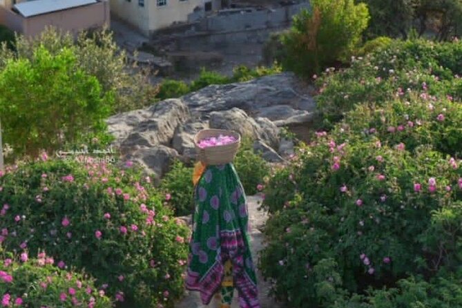 Private Oman Full Day Guided Sightseeing Tour - Experiencing Wahiba Sands Desert Dunes