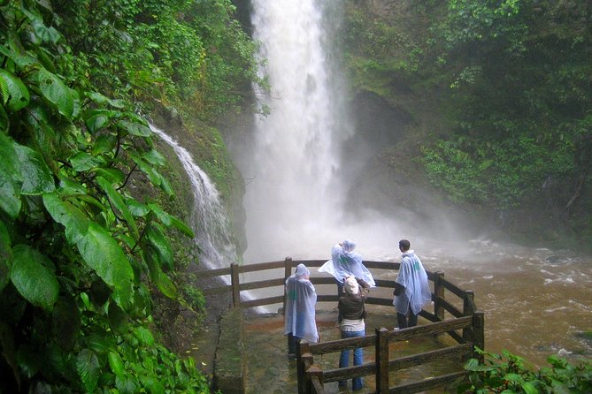 Private Puntarenas Shore Excursion: Poas Volcano and La Paz Waterfall Gardens - Traveler Feedback and Insights