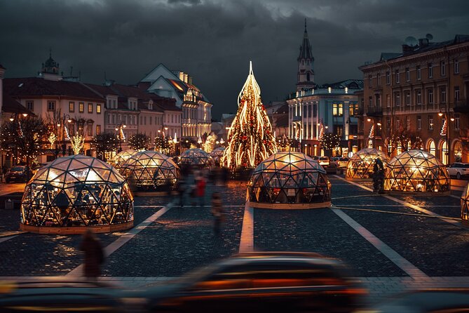 Private Riga Vilnius Transfer and Tour - Booking Information