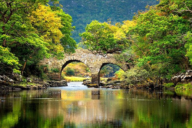 Private Ring of Kerry Tour in Ireland - Customer Feedback