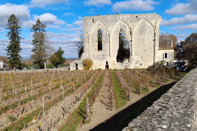 Private Saint Emilion Tour With Wine Tasting - Since You Asked