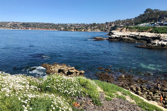 Private San Diego and La Jolla Tour - Additional Information and Notes
