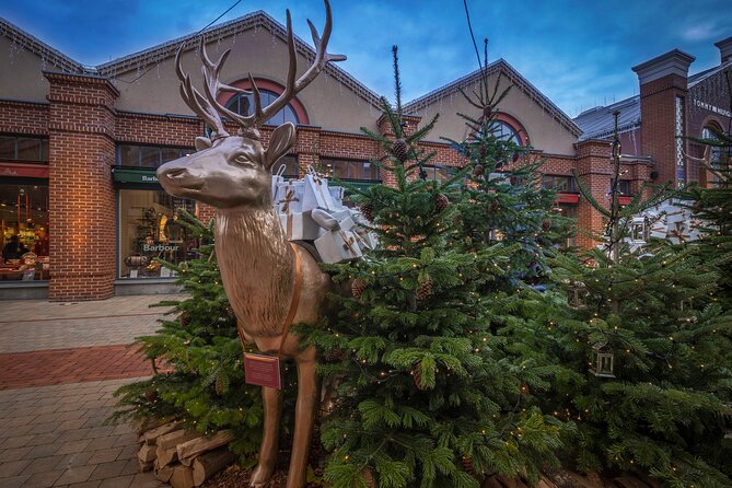 Private Shopping Tour From Munich Hotels to Ingolstadt Outlet - Shopping Tips
