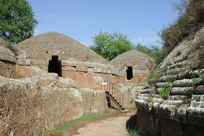 Private Shore Excursion From Civitavecchia Port to Etruscan Countryside - Exceptional Customer Reviews and Ratings