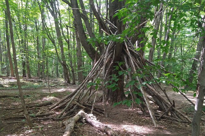 Private Singhampton Caves Hiking Tour, Collingwood/Blue Mountain - Reviews and Feedback