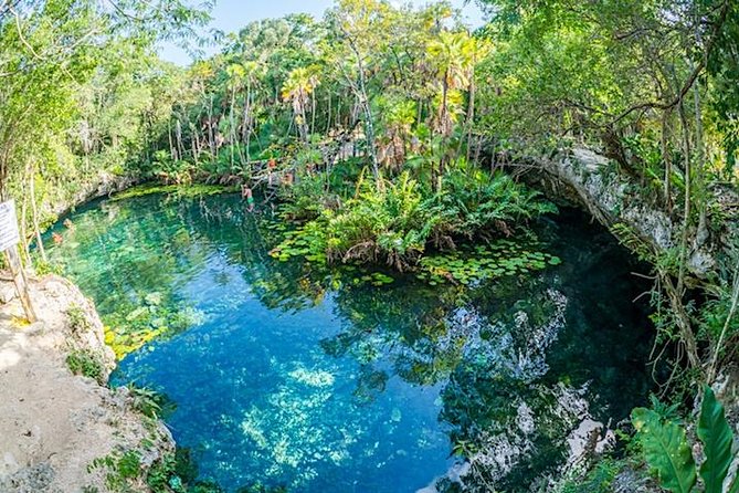 Private Snorkeling Tour in 2 Cenotes With Mayan Lunch - Mayan Culinary Experience
