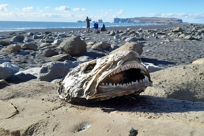 Private South Coast and Katla Ice Cave Tour - Booking Information