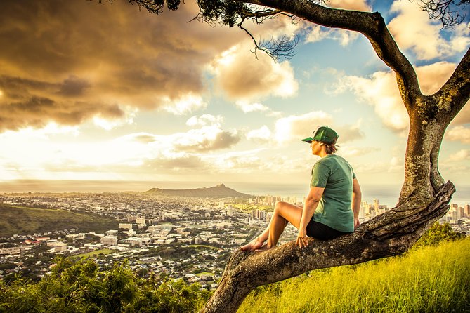 Private South Shore of Oahu Tour - Tips for an Enjoyable Tour