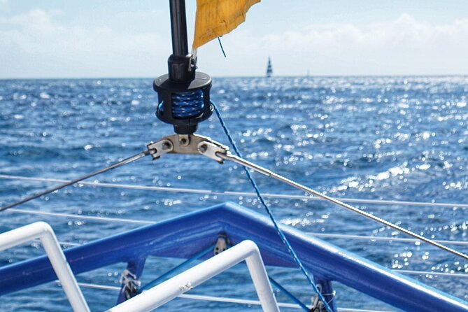 Private South Shore Sail Charter - Customer Reviews and Testimonials