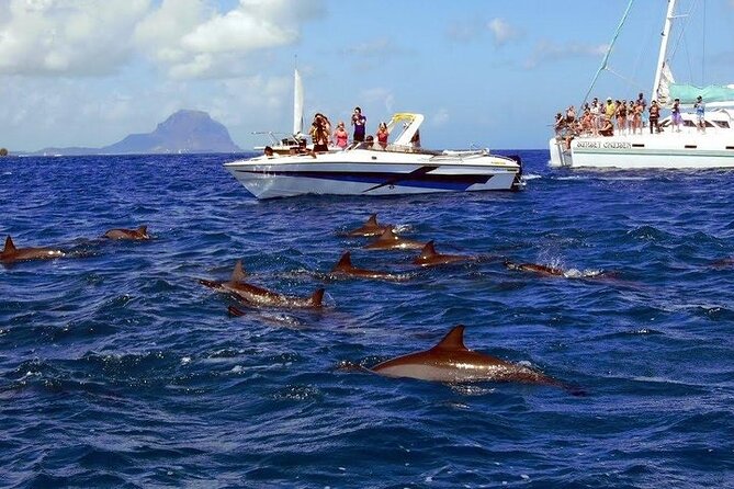 Private Speed Boat Tour and Dolphin Encounter at Ile Aux Benitier - Cancellation and Refunds