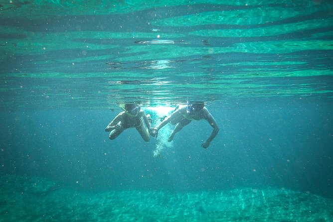 Private SUP & Snorkel Tour To Casa Cenote & Our Favorite Tacos :) - Casa Cenote Exploration