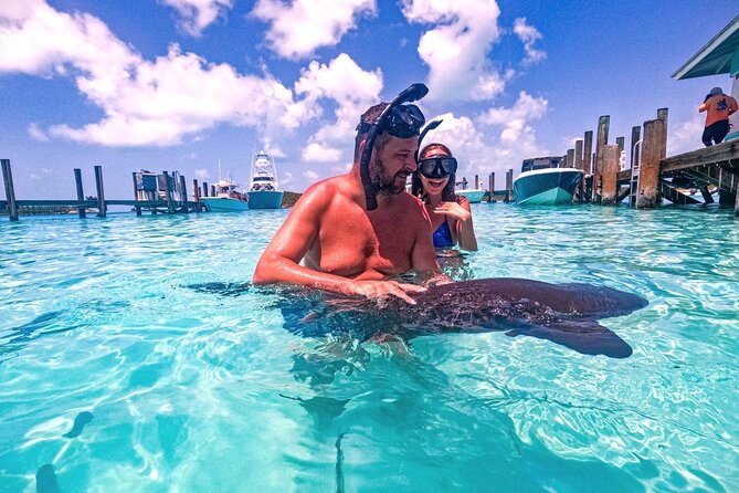 Private Swimming With Wild Pigs in Exuma - a Taste of Paradise! - Additional Considerations